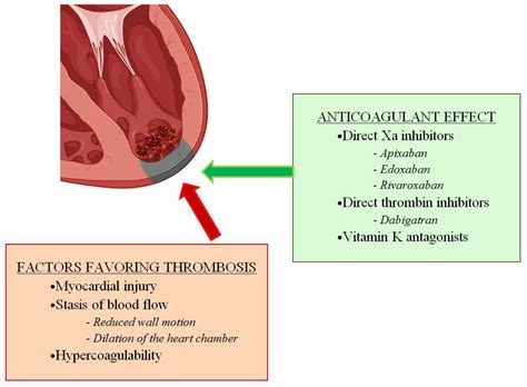 treatment for left ventricular thrombus.